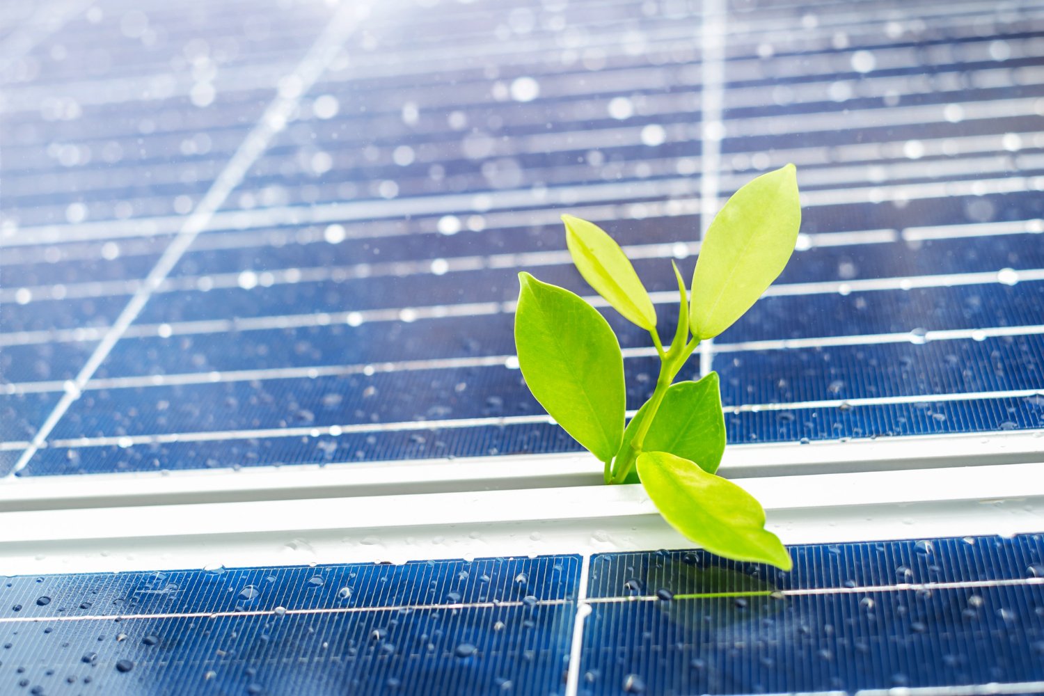 Dettaglio pannelli fotovoltaici